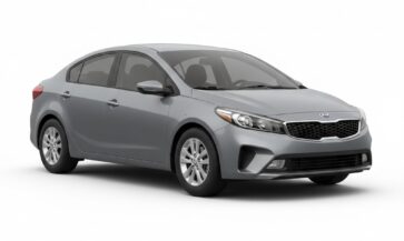 WhatsApp Image 2026-02-11 at 4.54.56 PM (1)