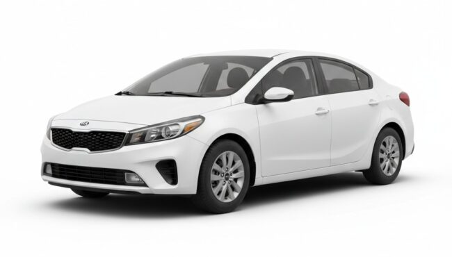 WhatsApp Image 2026-02-11 at 4.54.56 PM